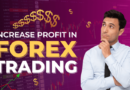 Beginners Guide to Forex Trading