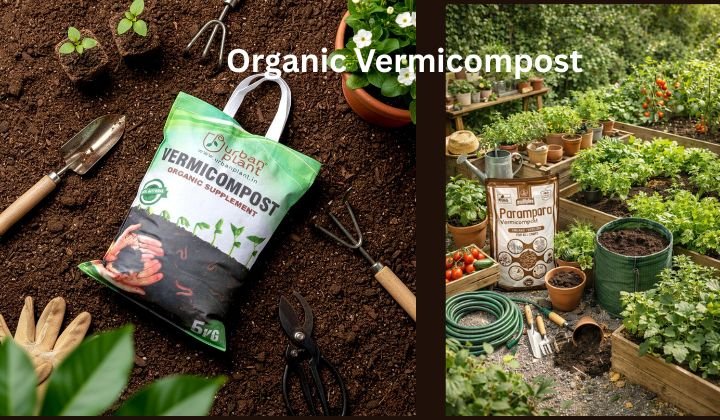Organic Vermicompost