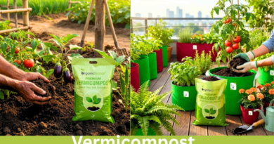 Vermicompost