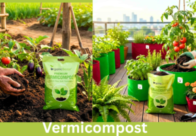 Vermicompost